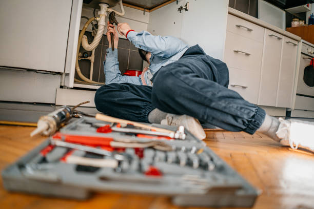Best Emergency Plumber  in Ronceverte, WV
