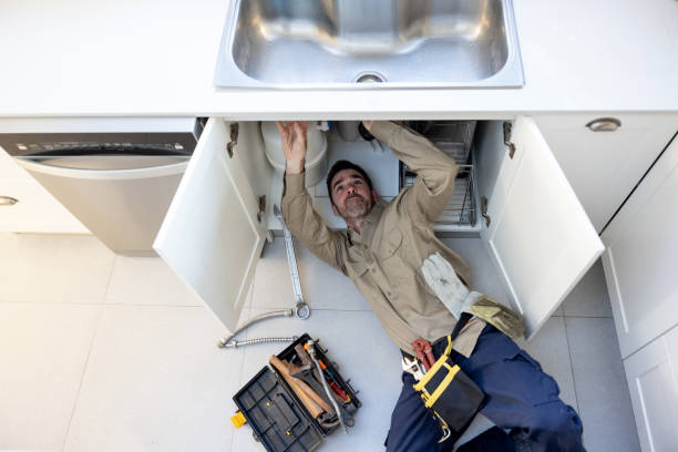 Best Commercial Plumbing Services  in Ronceverte, WV