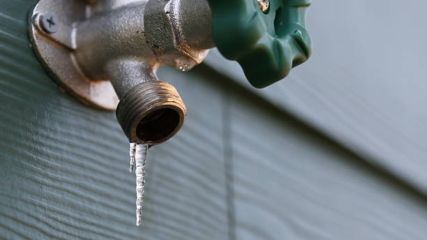 Best Sprinkler Systems  in Ronceverte, WV
